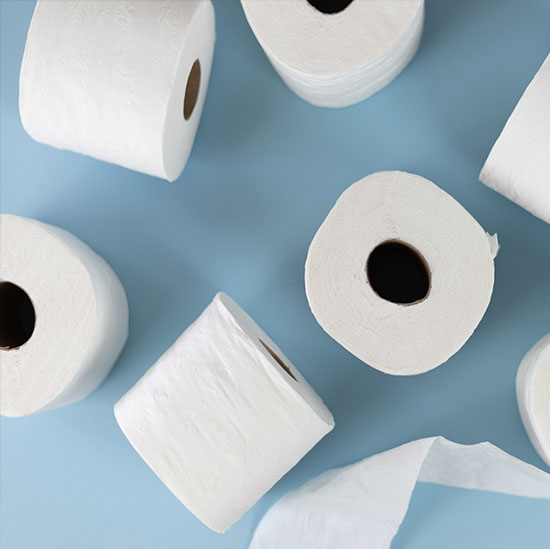Toilet Paper vs Bidet